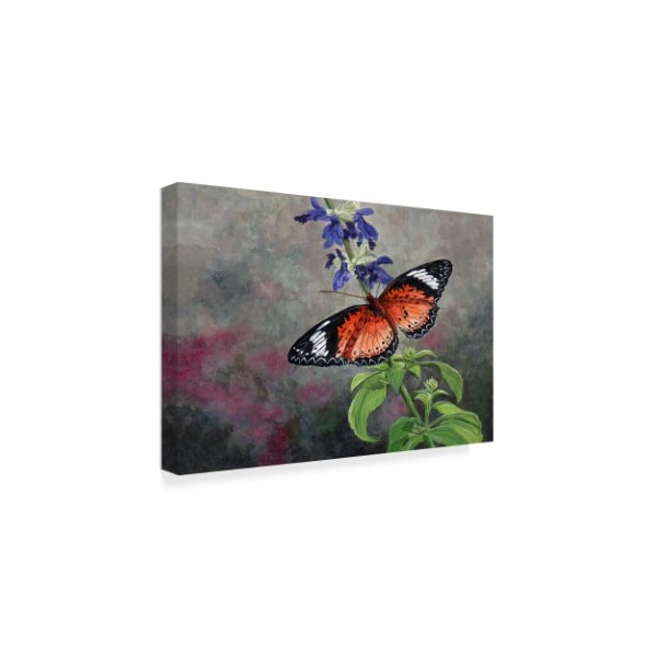 John Morrow 'Tropical Queen' Canvas Art,30x47